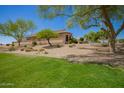 Expansive backyard showcasing desert landscaping, with a large tree providing shade and a well-maintained lawn at 22304 N 104Th Ln, Peoria, AZ 85383