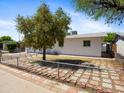 The backyard has a white exterior, window, tree, a chain-link fence, and a brick-lined walkway at 2834 E Michael Dr, Phoenix, AZ 85032