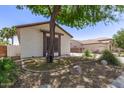 The yard shows manicured plants and rock landscaping surrounding the perimeter of the home at 6805 S Sapphire Way, Chandler, AZ 85249