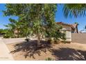 Well-maintained house with mature tree providing shade to the desert-friendly landscaped yard at 6958 W Morning Dove Dr, Glendale, AZ 85308