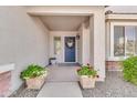 Charming front porch featuring a blue door with decorative wreath and colorful potted plants at 21167 E Aspen Valley Dr, Queen Creek, AZ 85142