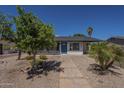 Landscaped single-story home with desert landscaping and a covered carport at 3208 N El Dorado Dr, Chandler, AZ 85224