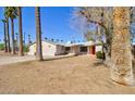 Single-story home featuring a red front door, desert landscaping, and mature palm trees at 809 N Gilbert Ave, Casa Grande, AZ 85122