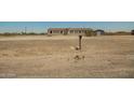 Exterior view of property highlighting the house, mailbox and surrounding landscape at 13217 S Tuthill Rd, Buckeye, AZ 85326
