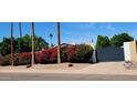 Well-maintained front yard with mature landscaping and privacy gate at 2068 E Cairo Dr, Tempe, AZ 85282