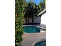 Refreshing pool with surrounding mature trees and a privacy wall at 2068 E Cairo Dr, Tempe, AZ 85282