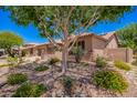 Well-maintained home showcasing desert landscaping, beautiful plants, and mature shade trees at 25633 N 71St Dr, Peoria, AZ 85383