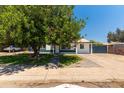 Charming single-story home with a well-manicured lawn and a mature shade tree under a clear blue sky at 8132 W Pierson St, Phoenix, AZ 85033