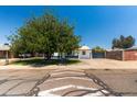 A well-maintained single-story home with a large shade tree in the front yard under a bright blue sky at 8132 W Pierson St, Phoenix, AZ 85033