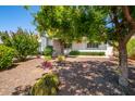 Desert landscaped front yard featuring mature trees, shrubs, cacti, and gravel at 8310 E Glenrosa Ave, Scottsdale, AZ 85251