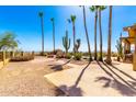 Desert backyard boasts tall palm trees, a cactus, a glimpse of the pool, and stunning mountain views at 8752 E Range Rider Trl, Mesa, AZ 85207