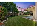 Large backyard features a well-manicured lawn, mature trees, and a covered patio at 664 E Windsor Dr, Gilbert, AZ 85296