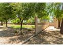 Large trees offer plenty of shade in the property's backyard, which is perfect for playing and relaxing at 8321 W Hughes Dr, Tolleson, AZ 85353