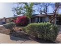 Charming single-story home boasts lush landscaping and mature trees at 116 E Helena Dr, Phoenix, AZ 85022