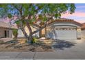 Twilight view of a single-story home featuring a two-car garage, framed by a tree against a colorful evening sky at 19127 N 79Th Dr, Glendale, AZ 85308