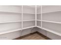 Spacious walk-in pantry featuring ample shelving for organized storage and wood-look tile flooring at 21348 N Belt Dr, Maricopa, AZ 85138