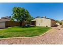 Lush backyard with green grass, mature tree, and privacy fence offers ample space for outdoor activities at 19833 N 47Th Ln, Glendale, AZ 85308
