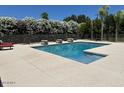 Beautiful backyard pool surrounded by concrete patio and lush greenery at 18132 E Vencino St, Gilbert, AZ 85298