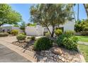 Attractive one-story home boasting a two-car garage, gated entry, and mature desert landscaping at 19 E Boca Raton Rd, Phoenix, AZ 85022