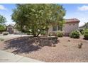 Beautiful home featuring desert landscaping, mature tree and neutral color scheme at 20007 N Siesta Rock Dr, Surprise, AZ 85374