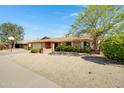Expansive front yard showcasing the home's facade, mature landscaping, and inviting curb appeal at 6128 W Columbine Dr, Glendale, AZ 85304