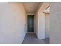 Inviting entryway with a stylish green front door and decorative touches at 20644 W Mariposa St, Buckeye, AZ 85396