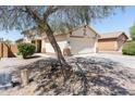 Inviting home exterior with mature shade tree, desert landscaping, and a two-car garage at 2174 W Kristina Ave, San Tan Valley, AZ 85144
