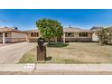 Single-story home with a well-manicured lawn and mature tree shading the facade at 844 E Ruth Ave, Phoenix, AZ 85020