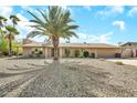Inviting single-story home features a desert landscaped front yard with mature palm trees at 18428 N 42Nd St, Phoenix, AZ 85032