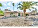 Charming single-story home featuring a well-maintained gravel front yard and mature palm trees at 18428 N 42Nd St, Phoenix, AZ 85032