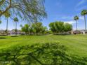 Expansive community greenspace with lush lawn, mature trees, and clear blue sky at 8723 E Kiowa Ave, Mesa, AZ 85209