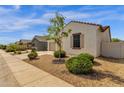 Street view showing the home's desert landscaping, and well-maintained sidewalk at 4595 W Foldwing Dr, San Tan Valley, AZ 85144