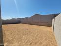 Large backyard, perfect for creating your dream outdoor living space with privacy fencing at 4211 W Lisa Ln, San Tan Valley, AZ 85144