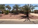 Single-story home featuring xeriscape landscaping, mature palms and a long driveway at 735 E Desert Ave, Apache Junction, AZ 85119