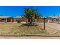 Inviting home with mature tree in the front yard, enhancing curb appeal and providing shade at 7359 N 39Th Ave, Phoenix, AZ 85051