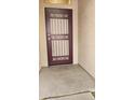 Close-up of the decorative front door with security screen at 15460 W Mescal W St, Surprise, AZ 85379