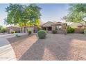 Charming single-story home with desert landscaping and mature trees at 26330 N 56Th Dr, Phoenix, AZ 85083
