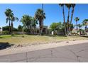 Charming single-story home featuring a well-manicured lawn and desert landscaping, complemented by mature palm trees at 12721 W Georgia Ave, Litchfield Park, AZ 85340