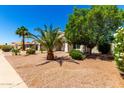 Beautiful single-story home with mature trees, desert landscaping and a well-maintained front yard at 1710 S Aaron --, Mesa, AZ 85209