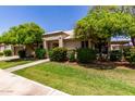 Charming single-story home with lush landscaping and mature trees enhancing its curb appeal at 9002 W Caribbean Ln, Peoria, AZ 85381