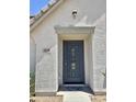 Close-up of the home's front door with decorative glass and the house number 2539 at 2539 N 148Th Dr, Goodyear, AZ 85395