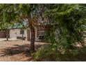 This showcases a quaint home partially shaded by lush tree, set in its yard at 7746 W Osborn Rd, Phoenix, AZ 85033