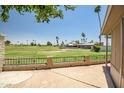 Scenic golf course view from a fenced patio with lush greenery and palm trees under a clear blue sky at 10643 W Pineaire W Dr, Sun City, AZ 85351