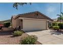 Two-car garage with desert landscaping, located in a quiet residential neighborhood at 3755 E Hazeltine Way, Chandler, AZ 85249