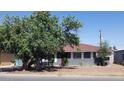 Charming single-story home with a well-maintained lawn and mature landscaping at 6011 N 33Rd Ave, Phoenix, AZ 85017