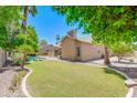 Lush backyard with grass, palm trees, desert landscaping, and view of home at 1470 W Bartlett Way, Chandler, AZ 85248