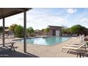 Community pool area with lounge chairs and a covered seating area for relaxation on a sunny day at 15041 W Gray Fox Trl, Surprise, AZ 85387