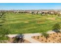 Expansive soccer field ready for recreational play in an active community, surrounded by well-maintained lawns at 2519 E Fortana Dr, San Tan Valley, AZ 85143