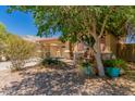 Attractive home exterior featuring desert landscaping with shrubs and decorative rock at 298 W Dana Dr, San Tan Valley, AZ 85143