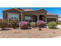 Beautiful home with a well-manicured desert landscape featuring flowering bushes and a covered entryway at 38005 W Montserrat St, Maricopa, AZ 85138